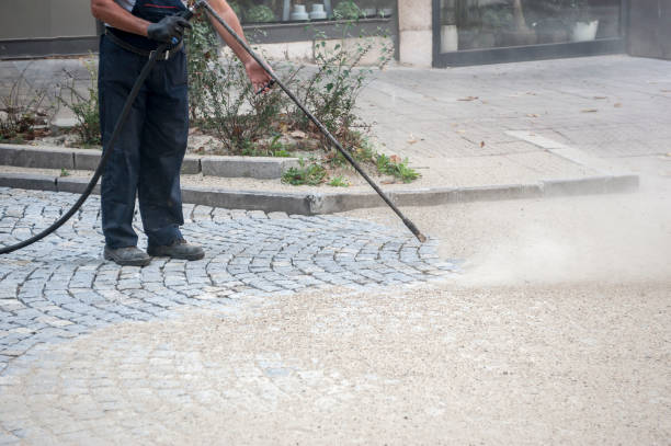 Best Restaurant Pressure Washing  in Laurium, MI